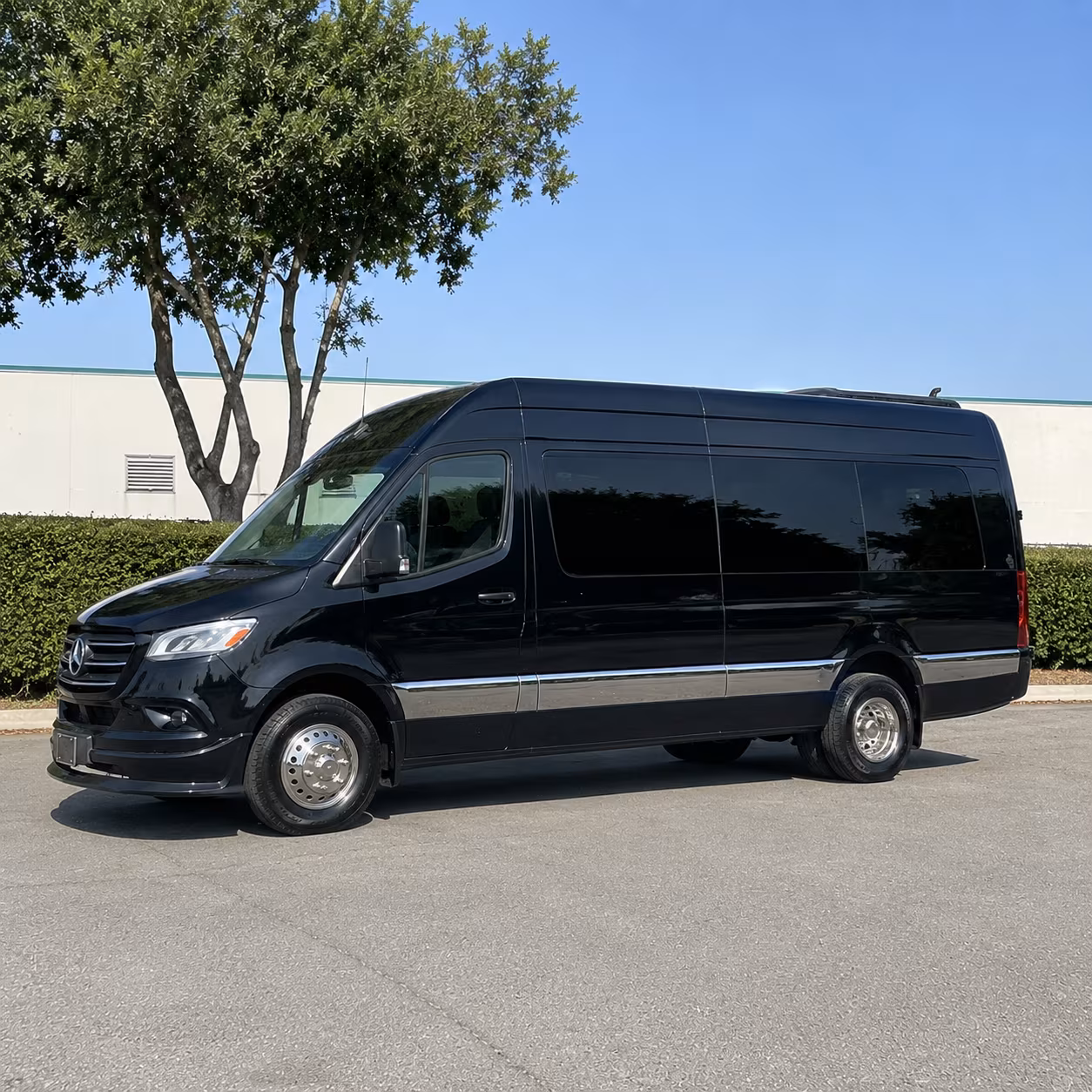 12 passenger sprinter van